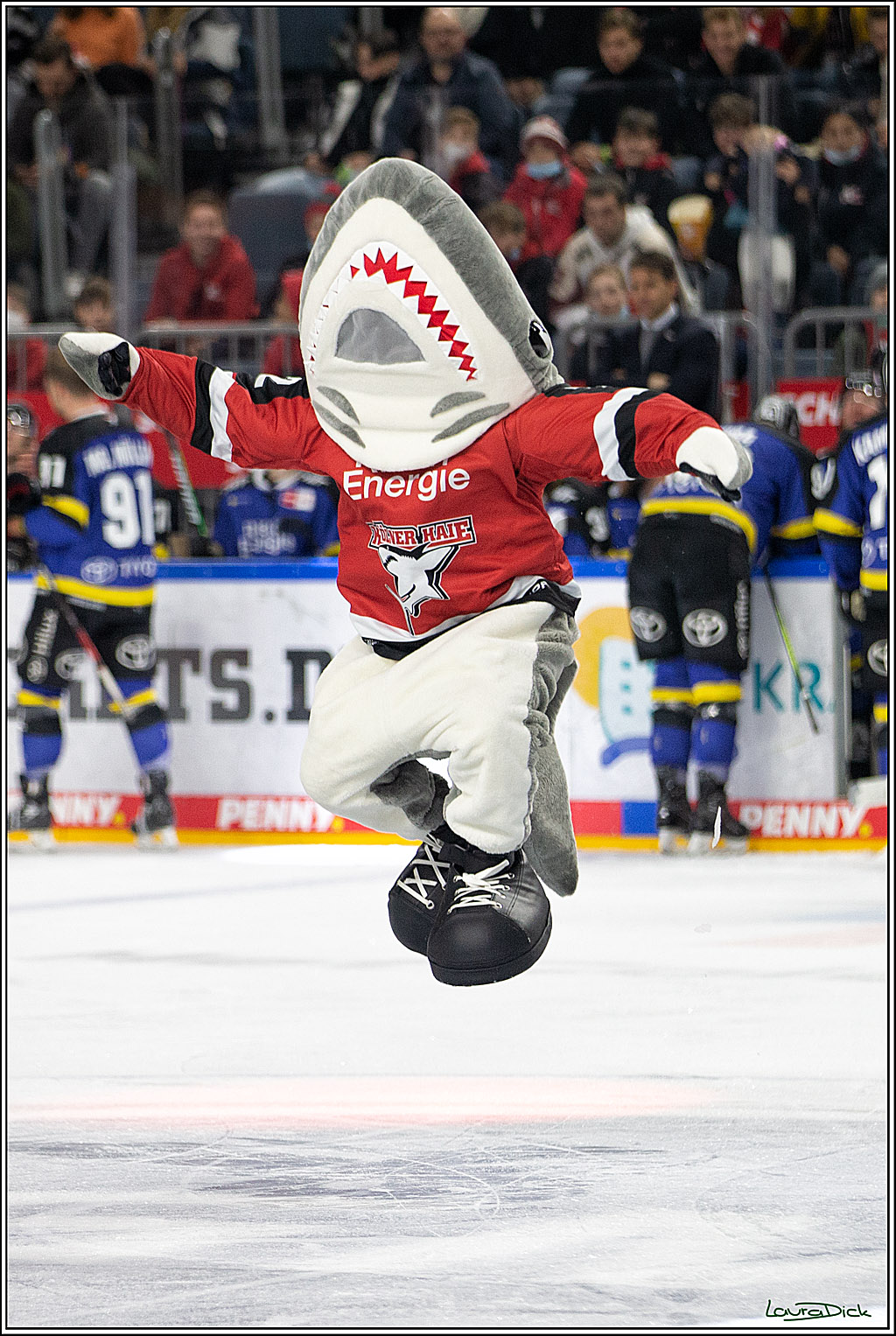 PENNY DEL; Koelner Haie- Fishtown Pinguins Bremerhaven; Koeln, 23.11.2021